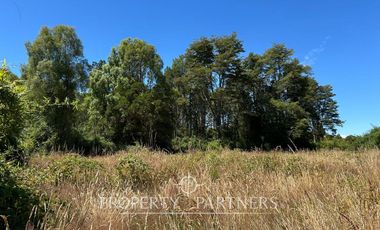 Linda parcela en Frutillar Alto, Lagunitas