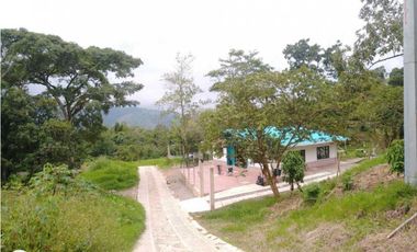 Lotes Campestres Sobre Vía principal