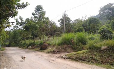 Lotes Campestres Sobre Vía principal