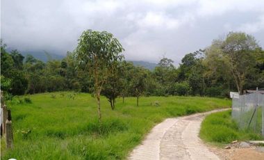 Lotes Campestres Sobre Vía principal