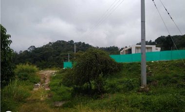 Lotes Campestres Sobre Vía principal