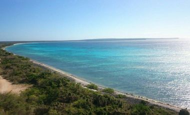 TERRENO VENTA 4 HECTAREAS VIA COJIMIES