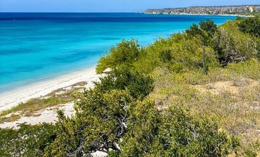 TERRENO VENTA 4 HECTAREAS VIA COJIMIES