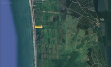 TERRENO VENTA 4 HECTAREAS VIA COJIMIES