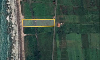 TERRENO VENTA 4 HECTAREAS VIA COJIMIES