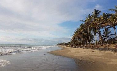 TERRENO VENTA 4 HECTAREAS VIA COJIMIES