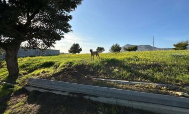 Oportunidad única en Rosarito: terrenos con vista al mar