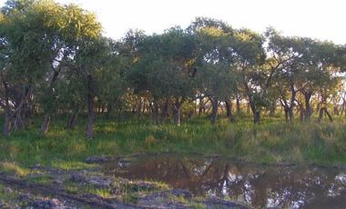 EXCELENTE CAMPO DE 192 HAS CON 1500 MTS DE FRENTE AL RIO LUJAN