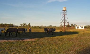 EXCELENTE CAMPO DE 192 HAS CON 1500 MTS DE FRENTE AL RIO LUJAN