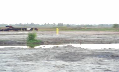 EXCELENTE CAMPO DE 192 HAS CON 1500 MTS DE FRENTE AL RIO LUJAN