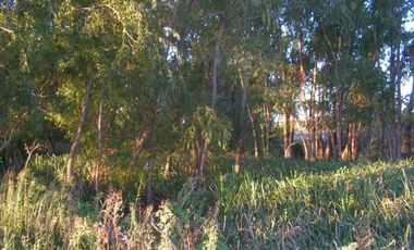 EXCELENTE CAMPO DE 192 HAS CON 1500 MTS DE FRENTE AL RIO LUJAN