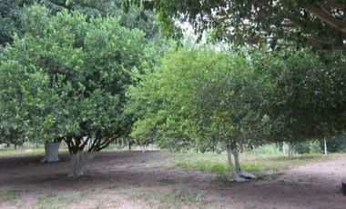 Santo Toma Finca en Venta Atlantico