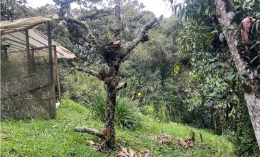 VENTA DE CASA FINCA