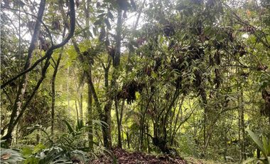 VENTA DE CASA FINCA