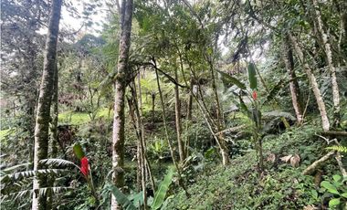 VENTA DE CASA FINCA
