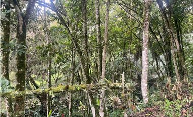 VENTA DE CASA FINCA