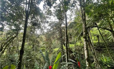 VENTA DE CASA FINCA