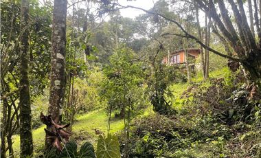 VENTA DE CASA FINCA