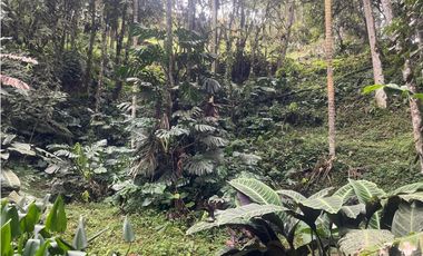 VENTA DE CASA FINCA
