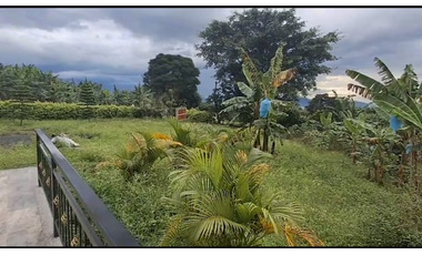 SE VENDE O SE PERMUTA FINCA EN QUIMBAYA POR TROCADERO 3 CUADRAS