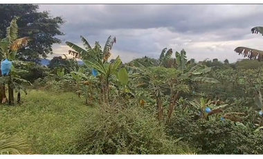 SE VENDE O SE PERMUTA FINCA EN QUIMBAYA POR TROCADERO 3 CUADRAS