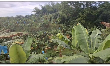 SE VENDE O SE PERMUTA FINCA EN QUIMBAYA POR TROCADERO 3 CUADRAS