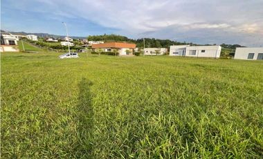 VENDO LOTE CAMPESTRE VIA VITERBO- LA VIRGINIA CERCA AL PEAJE ACAPULCO