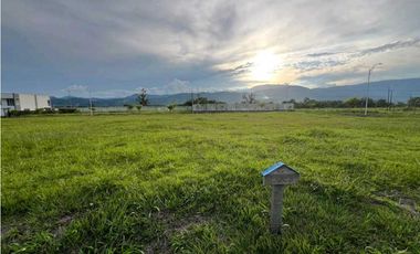 VENDO LOTE CAMPESTRE VIA VITERBO- LA VIRGINIA CERCA AL PEAJE ACAPULCO