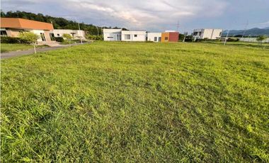 VENDO LOTE CAMPESTRE VIA VITERBO- LA VIRGINIA CERCA AL PEAJE ACAPULCO