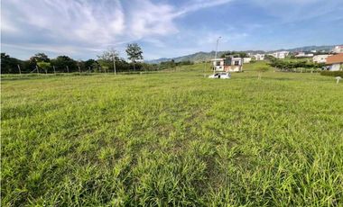 VENDO LOTE CAMPESTRE VIA VITERBO- LA VIRGINIA CERCA AL PEAJE ACAPULCO