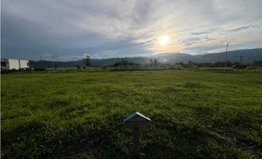 VENDO LOTE CAMPESTRE VIA VITERBO- LA VIRGINIA CERCA AL PEAJE ACAPULCO