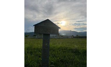 VENDO LOTE CAMPESTRE VIA VITERBO- LA VIRGINIA CERCA AL PEAJE ACAPULCO