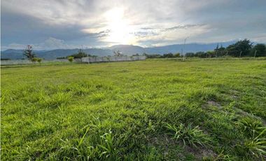 VENDO LOTE CAMPESTRE VIA VITERBO- LA VIRGINIA CERCA AL PEAJE ACAPULCO