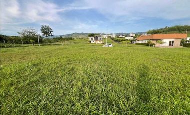 VENDO LOTE CAMPESTRE VIA VITERBO- LA VIRGINIA CERCA AL PEAJE ACAPULCO