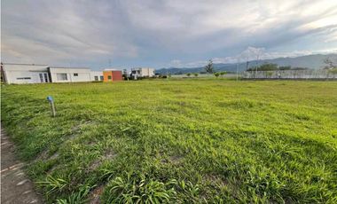 VENDO LOTE CAMPESTRE VIA VITERBO- LA VIRGINIA CERCA AL PEAJE ACAPULCO