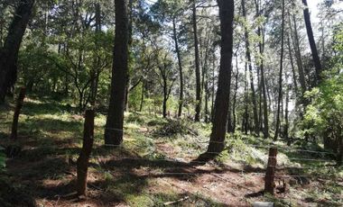 Terreno en venta lomas de la cañada tapalpa jalisco