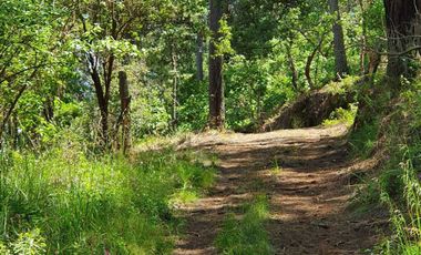 Terreno en venta lomas de la cañada tapalpa jalisco