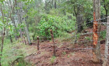 Terreno en venta lomas de la cañada tapalpa jalisco