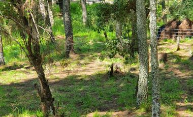 Terreno en venta lomas de la cañada tapalpa jalisco