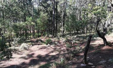 Terreno en venta lomas de la cañada tapalpa jalisco