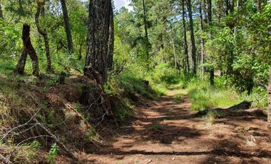 Terreno en venta lomas de la cañada tapalpa jalisco