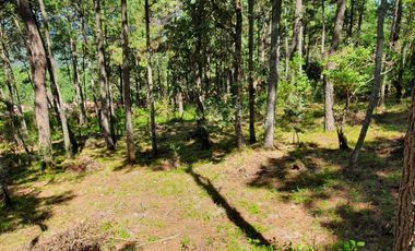 Terreno en venta lomas de la cañada tapalpa jalisco