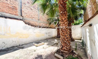 Casa en Renta en Tequila Centro | 3 Recámaras, Jardín y Estilo Único