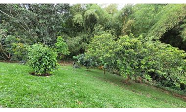 VENTA HERMOSA CASA CAMPESTRE VIA ARMENIA