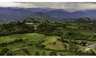 FINCA EN VENTA EN FREDONIA,ANTIOQUIA