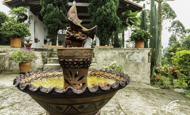 FINCA EN VENTA EN FREDONIA,ANTIOQUIA