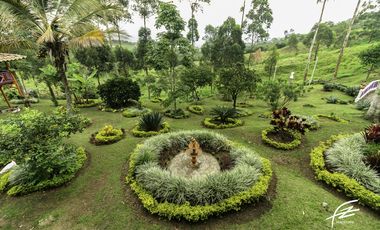 FINCA EN VENTA EN FREDONIA,ANTIOQUIA