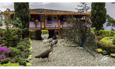 FINCA EN VENTA EN FREDONIA,ANTIOQUIA