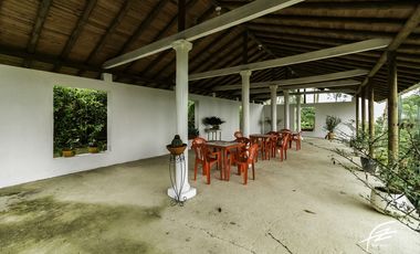 FINCA EN VENTA EN FREDONIA,ANTIOQUIA