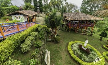 FINCA EN VENTA EN FREDONIA,ANTIOQUIA